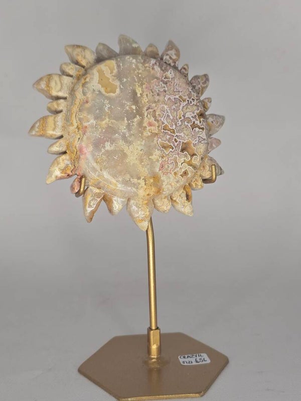Indonesian Crazy Lace Sun On Stand JI21