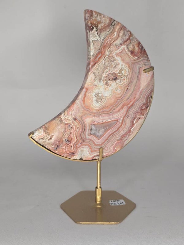 Indonesian Crazy Lace Moon On Stand JI22