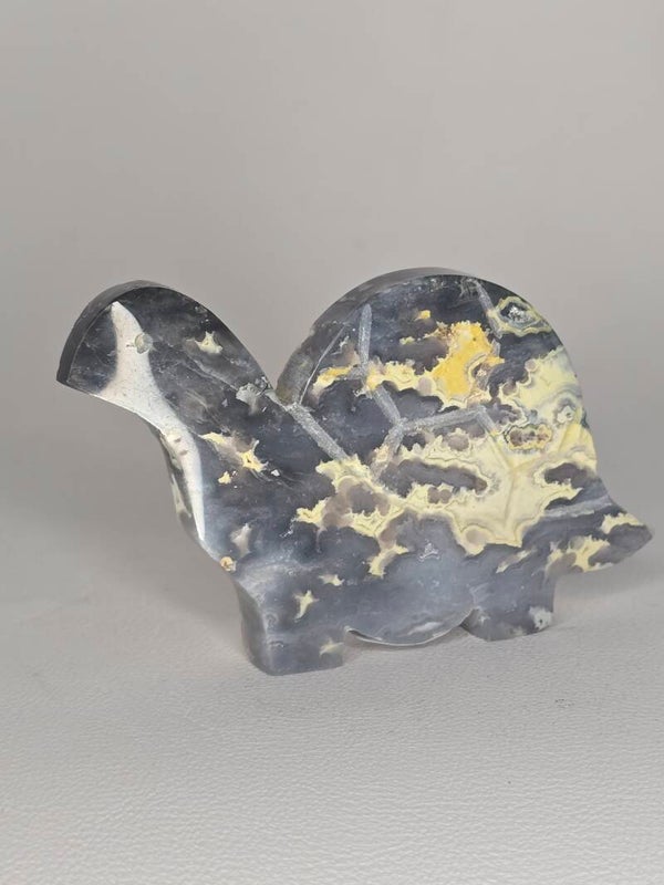 Blue Plume Tortoise Carving JI49