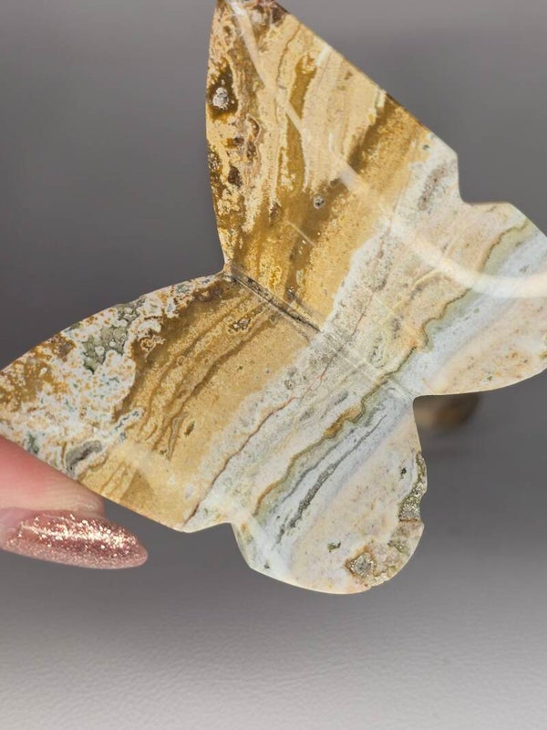 River Jasper 3D Butterfly JI5A