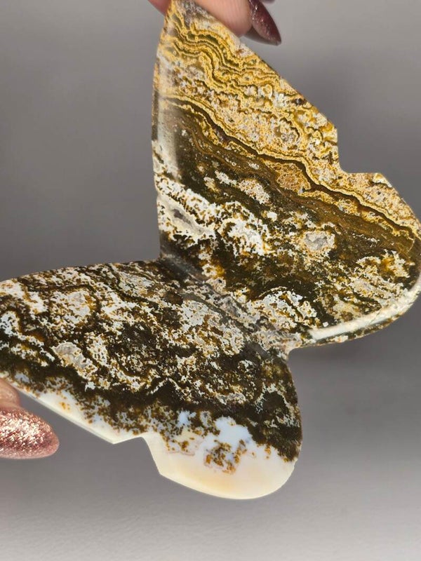 River Jasper 3D Butterfly JI5B