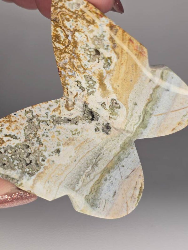 River Jasper 3D Butterfly JI5D