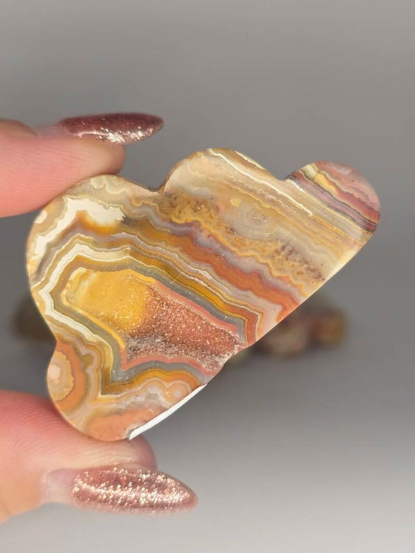 Indonesian Crazy Lace Cloud JI12A