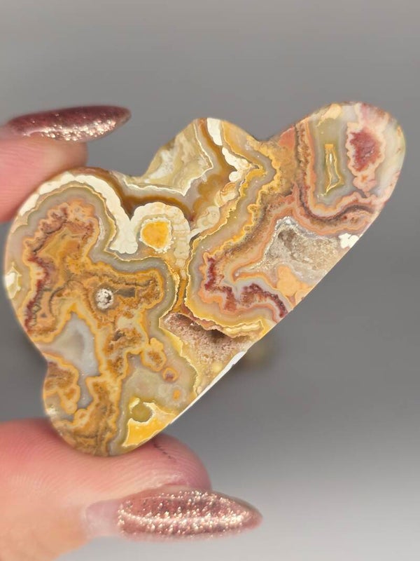 Indonesian Crazy Lace Cloud JI12C