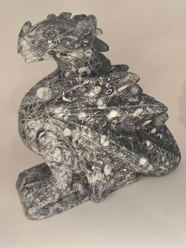 Shell Jasper Dragon 1744g Z959