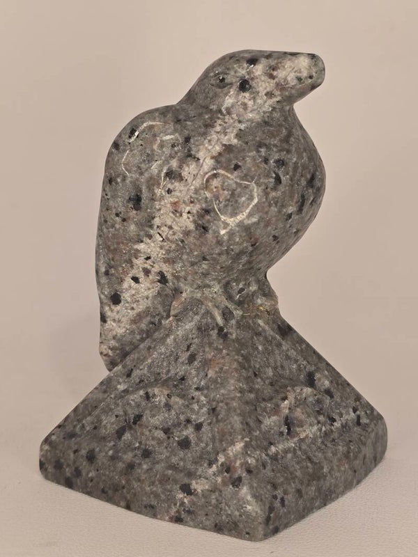 Yooperlite Raven Z173