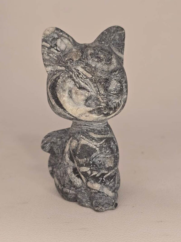 Shell Jasper Luna Cat S329