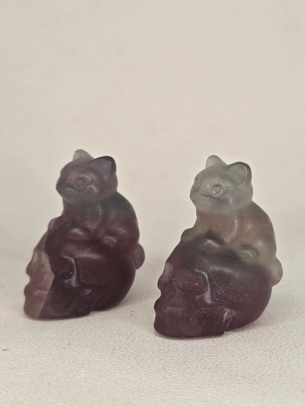 Fluorite Cat On Skull OL188