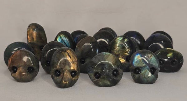 Lab Pet Rock OL127