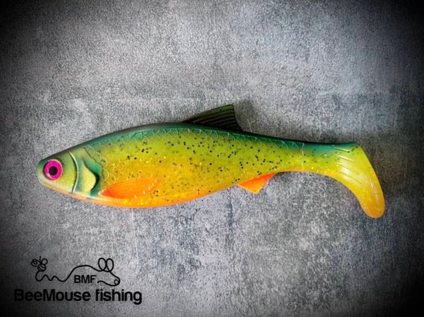 Paddle Roach 8inch