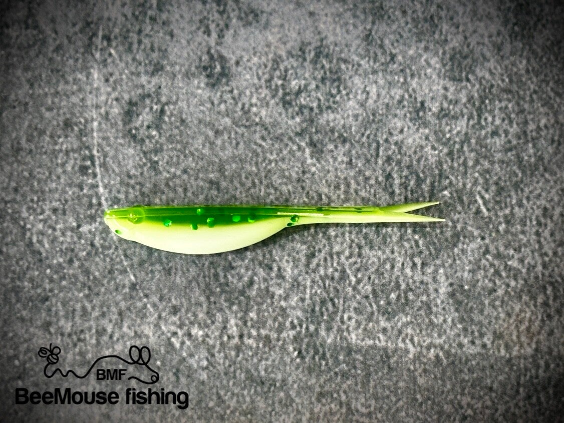 Green shiner