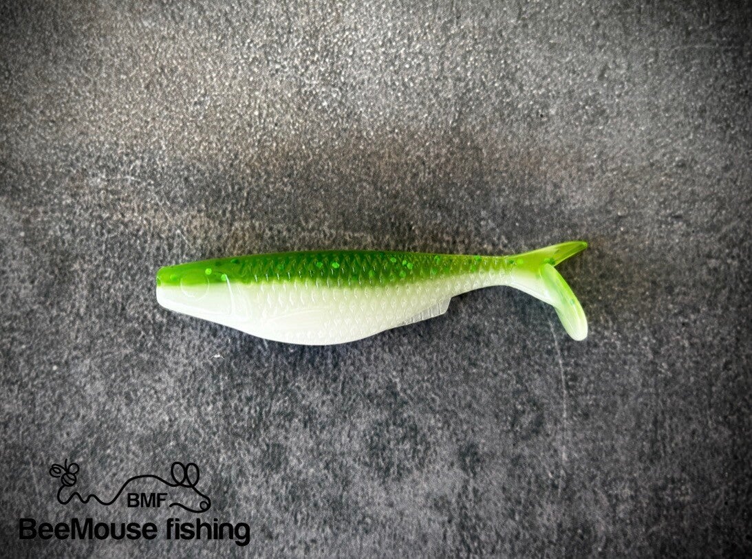 Green shiner