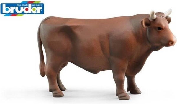 Bruder roodbruine Stier bruin