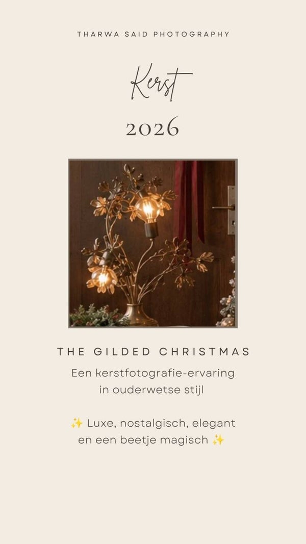 THE GILDED CHRISTMAS