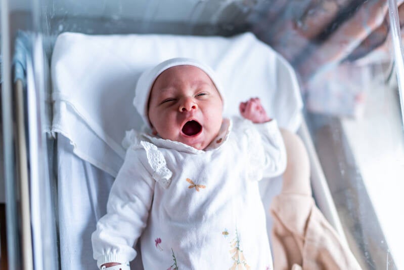 Fresh48 fotoshoot in tienen