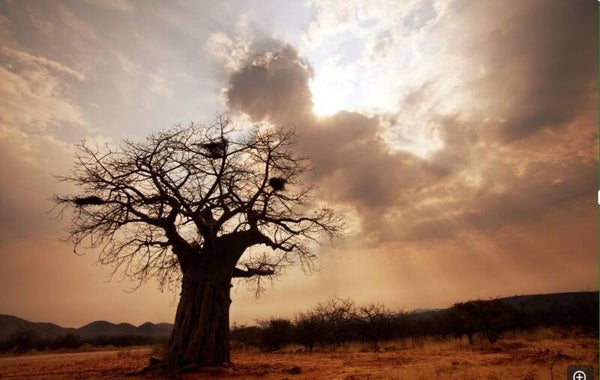 Abonnement Stammen Buitenland