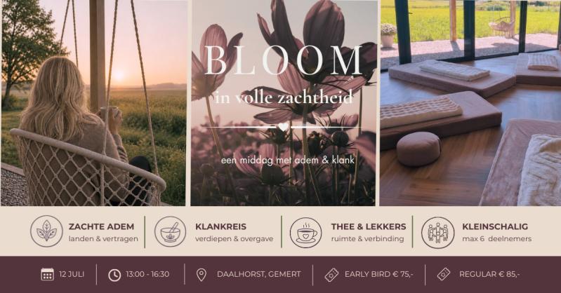Daisy Bloom Gemert