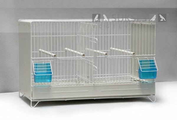 Honingraat bodempapier Sukses kooi 55x31 250st