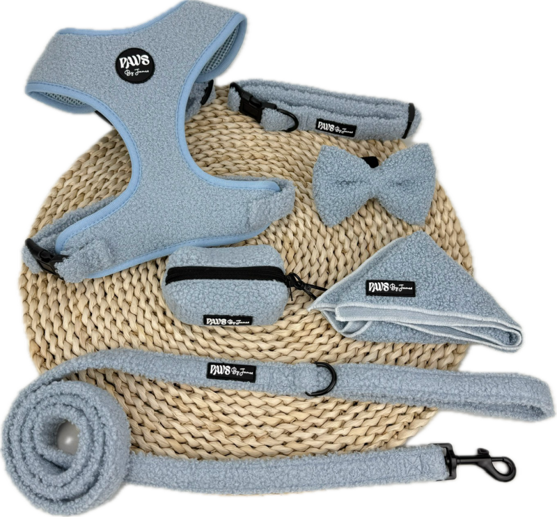 Teddy hondentuigje set licht blauw