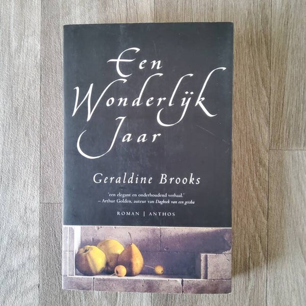 Een wonderlijk jaar - Geraldine Brooks - 2001