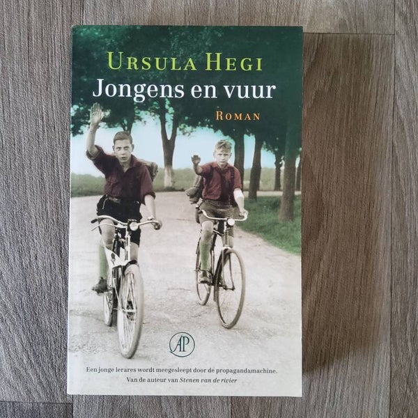 Jongens en vuur - Ursula Hegi - 2011