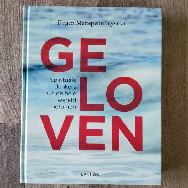GELOVEN Spirituele denkers uit de hele werels getuigen - Jürgen Mettepenningen - 2015