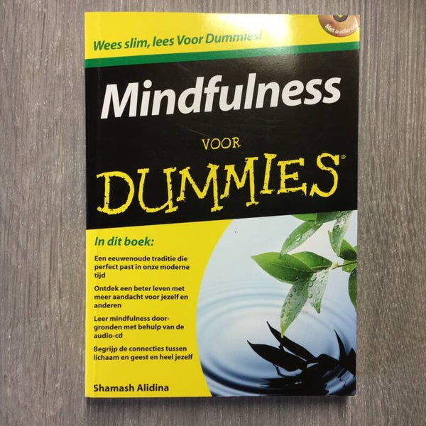 Mindfulness voor Dummies - Shamash Alidina