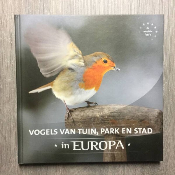 Vogels van tuin, park en stad in Europa - Jaap Schelvis
