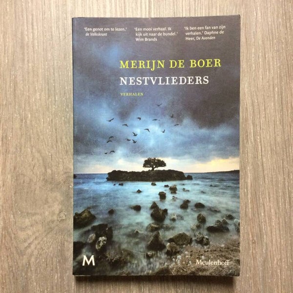 Nestvlieders - Merijn de Boer