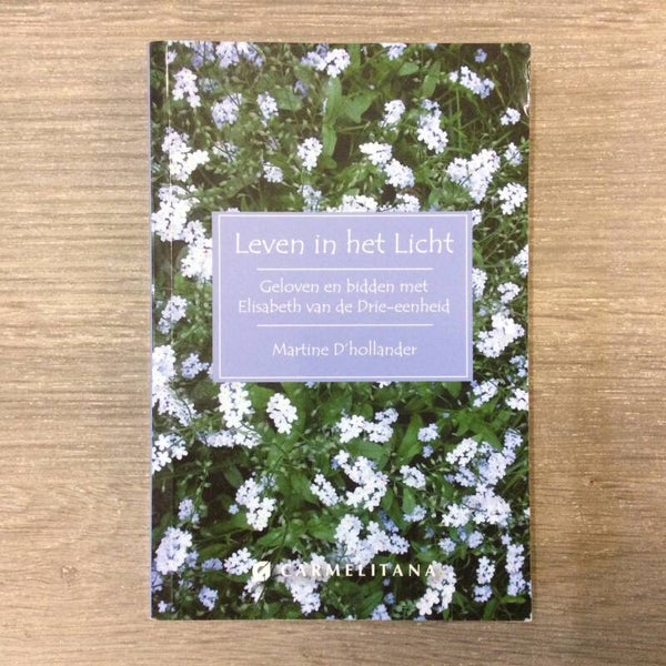 Leven in het licht - Martine D'hollander - 2017