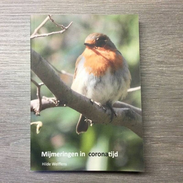 Mijmeringen in coronatijd - Hilde Welffens - 2021
