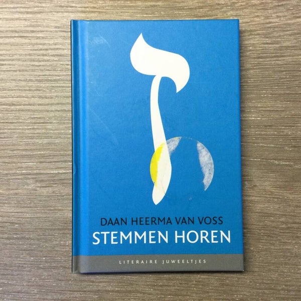 Stemmen horen - Daan Heerma Van Voss - 2021