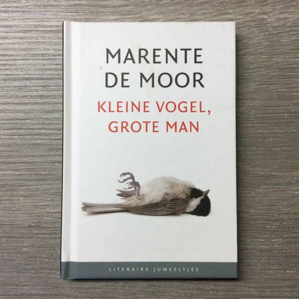 Kleine vogel, grote man - Marente de Moor - 2013