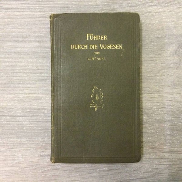 Fürher durch die Vogesen - Curt Mündel - 1913