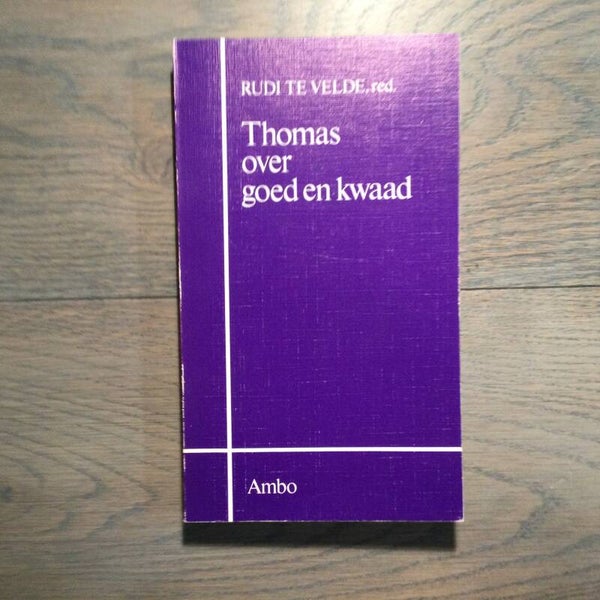 Thomas over goed en kwaad - Rudi Te Velde (red.) - 1993