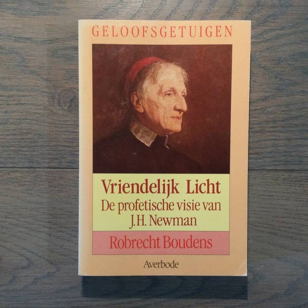 Vriendelijk licht - Robrecht Boudens - 1989