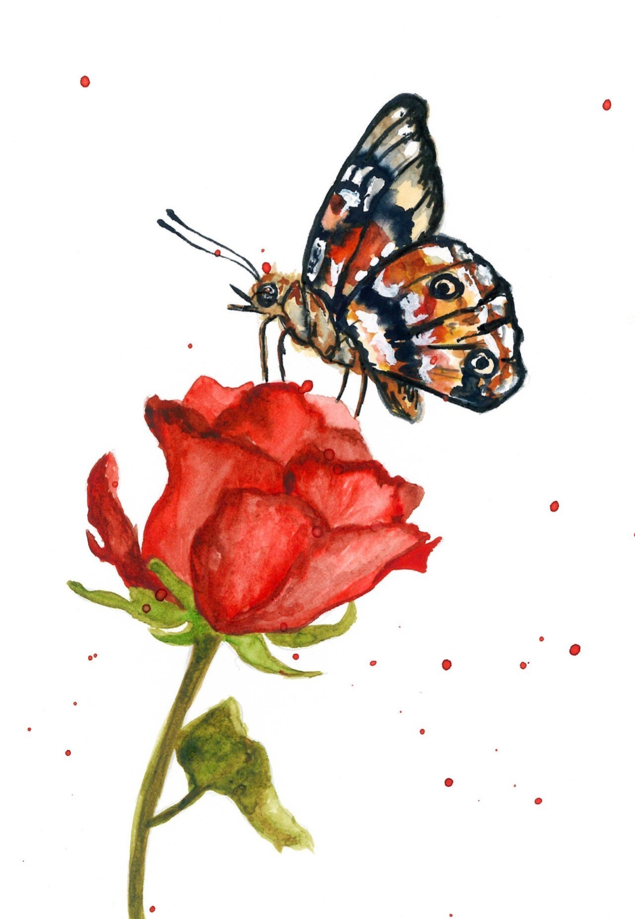 Liebesflügel | Karte