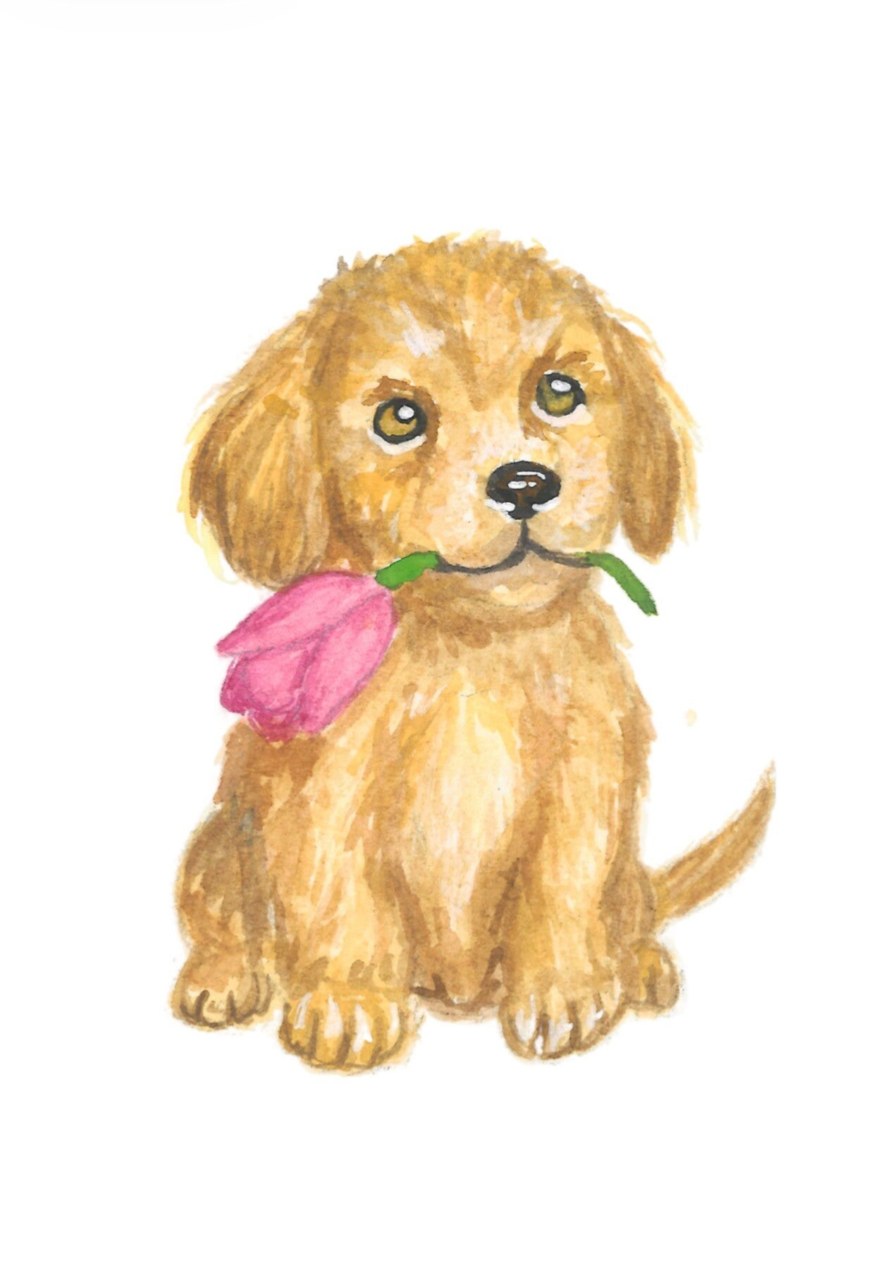 Treuer Begleiter | Karte