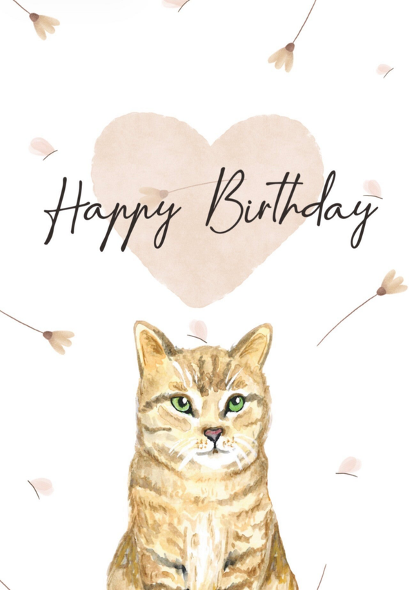 Pfötchenliebe | Geburtstagskarte