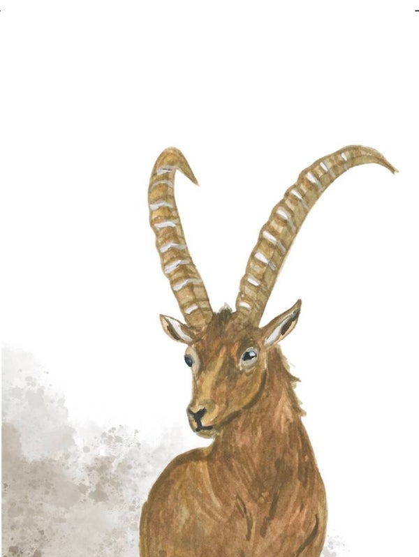Bündnerberga | Karte