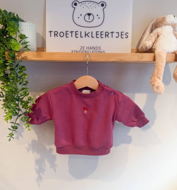 Zeeman Trui Maat 56