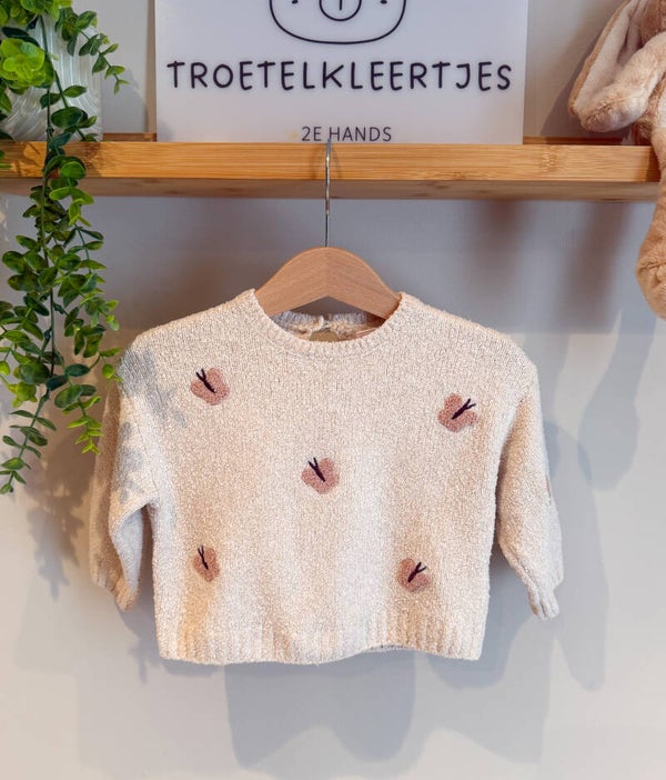 Zara Trui Maat 74