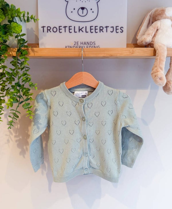 Ergee Vest Maat 86