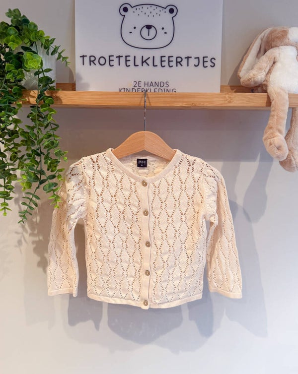 Mini Vest Maat 80