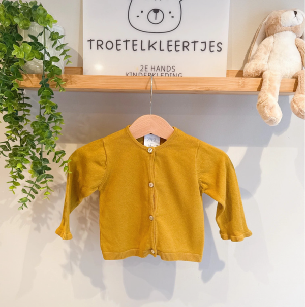 Zara Vestje Maat 68