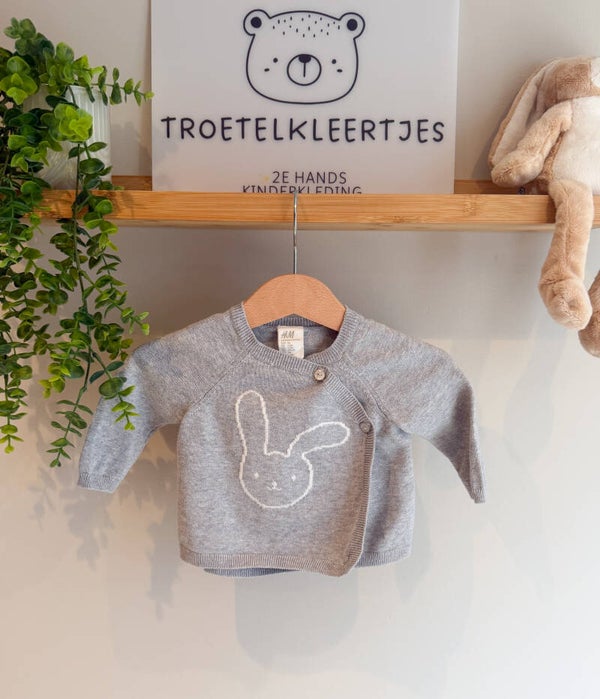 H&M Overslagtrui Maat 56