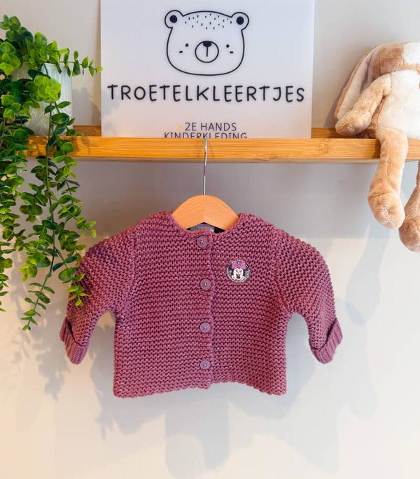 Disney Vestje Maat 62