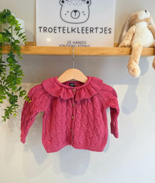 Mini Vest Maat 62