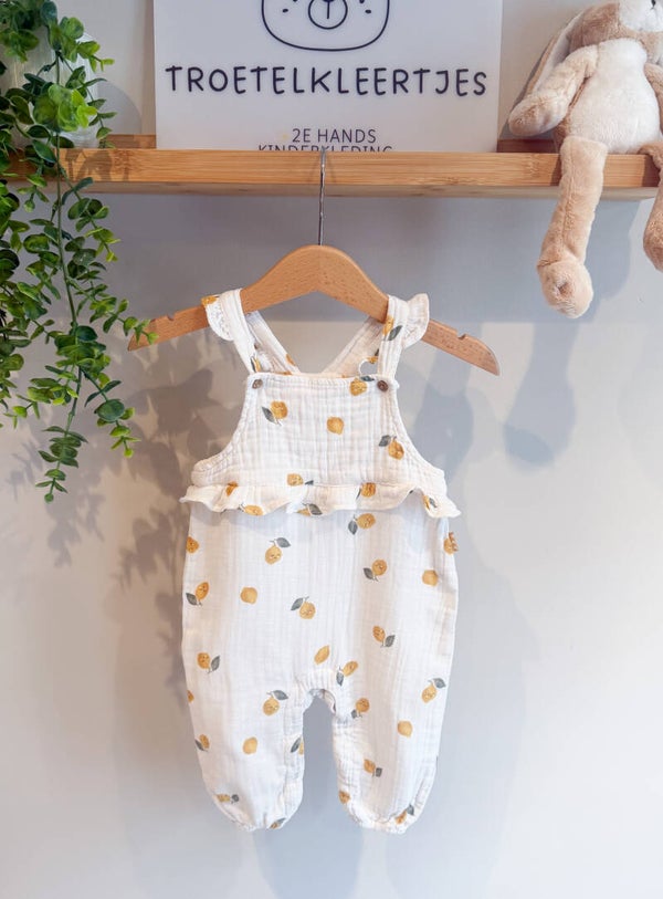 Hema Tuinpak Maat 62