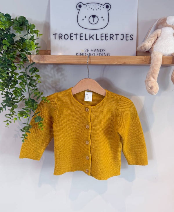 Hema Vestje Maat 80
